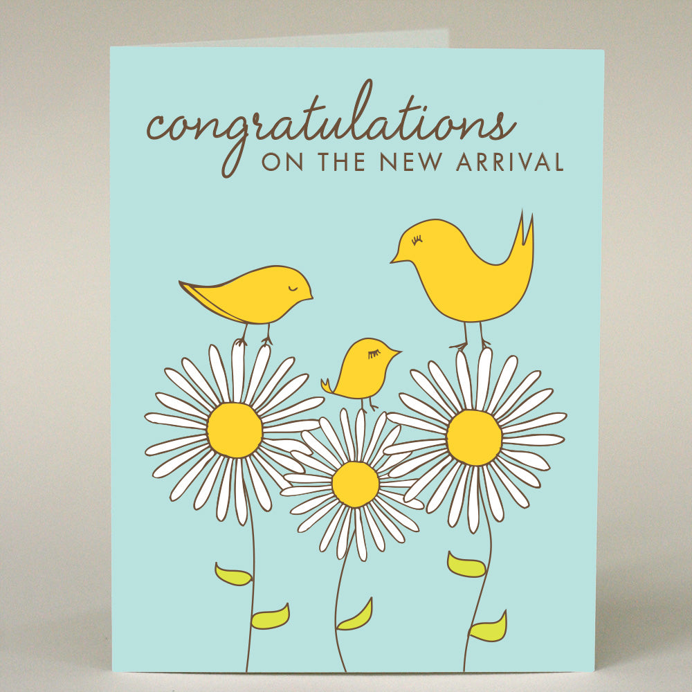 GF-161 3 Birds: New Arrival